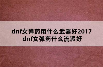 dnf女弹药用什么武器好2017 dnf女弹药什么流派好